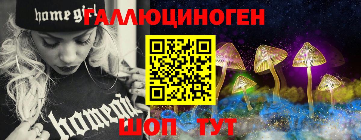Псилоцибиновые грибы Psilocybine cubensis  Галлюциногенные грибы мицелий  хочу   Можга  Вход с VPN 